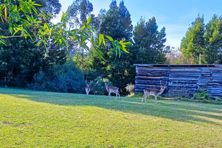  Bedroom Property for Sale in The Crags Western Cape